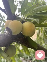民间常说：“家和万事兴”，而一个家庭的兴旺顺遂，从来不是凭空而来，更不是靠算计和猜忌维系。细细观察世间和睦红火的家庭，都藏着同一个真相：懂得善待儿媳的婆家，家庭才能福气满满、风生水起。配图