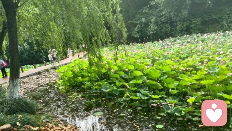 怎么维持心理健康