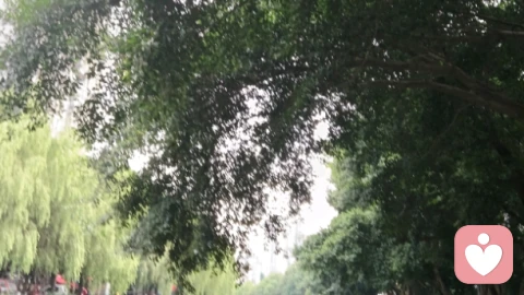 中年人的工作与生活情绪纠葛