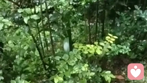 拒绝职场PUA：摆脱精神霸凌，守住自己的职场底气