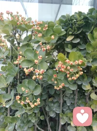 成年人的世界，很多委屈只能藏在心里。
没人懂、没人说、不敢打扰身边人。
我是一名男性倾听师，愿意做你的专属树洞，
安静倾听、耐心陪伴，不评判、不说教。
心里难受、失眠压抑、压力大，都可以说说。配图