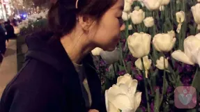 季楠🇨🇳