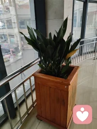 2. 人来人往里，总有这样一处角落，能接住所有疲惫，安安静静待一会儿。配图