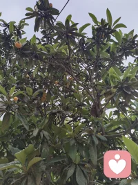 婚姻里最让人难过的，不是争吵，而是有委屈却说不出口。配图