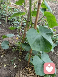 婚姻大半辈子，谁不是一边自愈一边前行
受过的委屈，咽下的难过，沉默的心酸
都藏在日复一日的生活里
不必独自硬扛，不必假装坚强
在这里没有说教，没有评判
安心倾诉所有心事，抚平心底郁结
好好善待自己，日子慢慢回暖配图