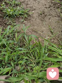 晨光正好，心绪也慢慢舒展
生活里难免有心结难解、心事压怀
不必独自默默消化所有情绪
我是心理倾听师，用心聆听你的所思所想
不评判、不说教，安心做你的情绪避风港
愿意倾诉，我便认真守候配图