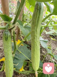 阳光正好，心亦安然。
倾听是无声的懂得，陪伴是最长的治愈。
你的感受，值得被认真对待。
#情绪陪伴 #倾听的力量