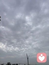1. 早安。世界慢慢热闹，我愿做你情绪的避风港。配图