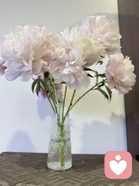 不用逼自己做决定，时间会帮你做选择，慢慢来，你会慢慢走出来的✨配图