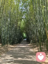 成年人的崩溃，从来都悄无声息
心事不敢跟家人说，不能跟朋友讲
怕被嫌弃、怕被笑话、怕没人懂
 
我是专属倾听师
愿意接住你所有的情绪和委屈
做你匿名的情绪树洞，永远耐心、永远温柔配图