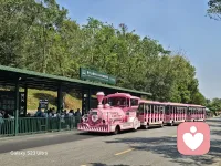 专注情绪倾听｜情感疏导｜内耗缓解｜心事解惑
不说教、不评判、不灌输大道理
 
你可以卸下所有伪装
把积压的烦恼、委屈、迷茫都倒出来
我陪你梳理情绪，陪你慢慢自愈配图