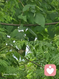 拒绝无底线共情，不听反复矫情。该怼就怼，该骂就骂，帮你彻底走出泥潭。配图