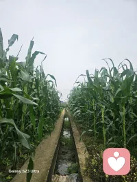你不必一直懂事，也不用强行快乐。
 
在这里，你所有的委屈、焦虑、失眠、心事，
都可以肆无忌惮的说出来。
 
我不评判，不指责，不说教，
只安安静静做你的专属树洞。
 
成年人的世界太疲惫，
累了就来找我倾诉一会。配图