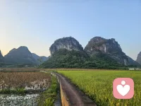 你是不是也常常这样？
 
心里藏了太多心事，翻遍通讯录，却找不到一个可以倾诉的人。
 
难过的时候不敢声张，委屈的时候只能默默消化。
 
久而久之，越来越沉默，也越来越内耗。
 
其实你不必一直硬撑。
 
我是一名线上倾听师，在这里，你可以放心卸下所有防备。
 
所有情绪都可以被接纳，所有心事都能被认真倾听。
 
如果你需要，我一直都在。配图
