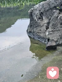 你好呀，我是倾听师。不管是心事、烦恼还是日常感慨，都可以慢慢说，我认真听着。配图