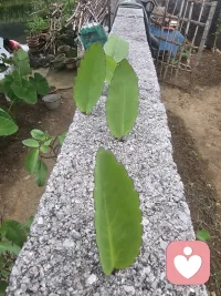 感觉心里堵得慌吗？慢慢讲，我一直都在。配图