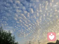 成年人的崩溃从来都是静音模式。
工作受了委屈不敢说，感情受了伤害不敢提，生活一地鸡毛只能自己硬扛。
没人愿意一直当你的情绪垃圾桶，没关系，我做你的专属树洞倾听师。
不灌输大道理，不随意指责你的选择，全程保密守护你的隐私。
把积压已久的心事倒出来，卸下心里的重担，轻松重新出发。配图