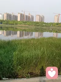 偷得浮生半日闲，不负人间一场醉！