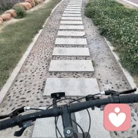 新的一天，新的开始，新的希望，愿你，愿我们都能开心，幸福！配图