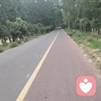 让花成花，让树成树，从此山水一程，再不相逢。！配图