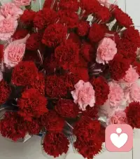 520不止是爱情，更是好好爱自己的日子💌
不必羡慕别人的浪漫，不必因孤单内耗自卑。
那些无人懂的委屈、婚姻里的隐忍、深夜的不安，
我做你的情绪树洞，安静倾听，温柔接纳。
愿你被爱，更愿你自爱，520快乐。
#520 #情绪倾听 #树洞倾诉 #治愈自己配图
