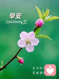 早上好[太阳][太阳][太阳]

愿你遇到的都是温柔，
风为你吹，太阳为你升起，
一切都是你喜欢的模样[666]配图