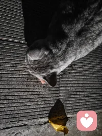 第一次见面一整天都在那里看来好缘配图