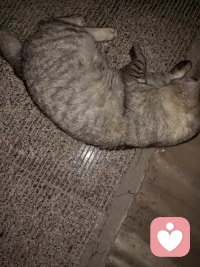 第一次见面一整天都在那里看来好缘配图