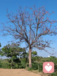 一个愿意听你说说话的普通人

嗨，在成为倾听师之前，我也经历了，一段低谷期/职业转型的迷茫/亲密关系的挑战]。正是那段经历让我明白，一个不带评判的倾听者是多么重要。

或许我无法完全体会你的感受，但我愿意用我最大的真诚与耐心，去靠近你的世界。我相信，每一次倾诉都是一次勇敢的自我面对，而每一次被听见，都是一次疗愈的开始。

如果你只是想找个人说说话，或者在某个选择的十字路口感到犹豫，我都愿意成为那个安静的听众，与你一同分担。配图
