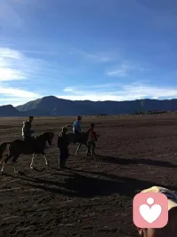 小鹿为了躲避狮子而逃跑，它是废物吗？
寄居蟹怕被吃掉躲进壳子里，他是胆小鬼吗？
它们都在用自己的方式挣扎求生，你也是为了活下去而躲起来的，不管看起来多狼狈，多可悲 为了生活所做的一切 都是勇敢的。配图