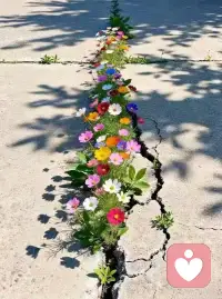 人一定要有快速翻篇的能力！
不在一件事，一个人，上面浪费精力！
这就是能幸福，能自由的第一要素！！！配图