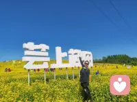 苦尽甘来配图