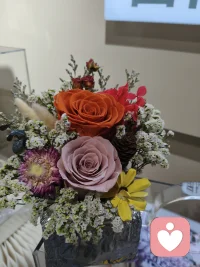 当能量越高、开始转运，进入正向创造的轨道时，会呈现一些具体的表现:

不管遇到什么问题都能想通、学到东西，看待问题的角度也更多元。
想通后能立刻恢复轻松与平静， 这是福报好的表现，智慧和福报越大，心态转换的速度就越快。

一些过去的旧人会逐渐疏远或断开联系，因为一个人要向前走，必然要轻装上阵，过去的人代表着过去的能量纠缠，而新旧能量的转化需要摆脱一些不好牵绊， 睡眠质量变好，吃什么都香，走路步履轻盈， 即便体重超重也不觉得笨重。
人就如同车子，若是自身状况百出、处处不得劲，即便遇到再好的机遇， 也难以把握

起心动念的显化速度很快，无论念头好坏。
早上萌生的想法，中午可能就会实现；
今天定下的心愿，下周或许就会达成，而且结果总是出乎意料， 不按常规出牌。这都代表你能量充足、心地纯净， 善念居多。

开始喜欢上独处，不再把期待、爱和安全感寄托在某个不确定的人身上，会主动远离嘈杂的人群，开始欣赏四季更迭，喜欢亲近大自然， 不再愿意取悦她人，也不会逼迫自己合群，更没有了非要”赢“的执念，内心时常会生出知足感，充满对万物的感恩，并且会把这份感恩落到行动上，用实际行动爱护身边的一切，待人接物有礼有节，将健康放在首位，敢于跟一切影响自己健康的人、事、物划清界限。

开始注重守护自身能量，留意自己的情绪变化，走向身心灵和谐的道路，也会有意识地接触高维度的人事物界限感变得分明以前习惯说”好”现在敢于说“不，”善良且不失锋芒，不再愿意参与他人的是非对错， 能够共情和理解他人，但绝不允许他人消耗自己的能量

直觉变得敏锐，该与什么样的人交往，更明白该远离什么样的人。
不执着于表象，也不会用道德绑架自己。 生活圈子会发生改变，尔虞我诈的人逐渐消失， 面对负面视频、负面信息以及带有负能量的人事物，会自动划过，不再与之产生链接。
不再允许这些东西污染、抓取、吸食自己的能量

胆量变大，无惧无畏，不怕丢人、不怕丢面子，懂得只有先放下所谓的“面子”才能拥有真正的尊严。
多年的坏习性会慢慢改变，甚至会对这些习性产生厌恶，一些旧疾也会逐渐消散。

不再执着于说服、开始收回向外分散的精力，专注于自我学习和成长能够随缘度日，安住当下，积德行善，不抱怨生活，立意高远，气场也会变得强大——面相愈发庄严，慈悲中带着威严智慧
#治愈系风景 #自然疗愈#身心灵疗愈#聆听者#陪伴者#天道文化#高维智慧#正能量#生命