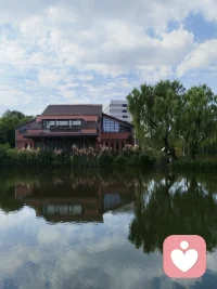 很多人以为心理咨询是“聊天”，其实它更像“拆弹”。每一句话都可能触碰到深层的东西。
专业的咨询师知道：什么时候该问，什么时候该停，什么时候该安静地陪着。

——成安珞