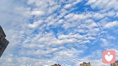 生活艰难,但我在你身后