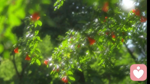 温柔治愈版\n \n1. 先取悦自己，再拥抱世界，你的感受，永远置顶。\n2. 不必追赶别人的脚步，慢慢来，好好爱自己，就是最好的生活。\n3. 允许自己低落、