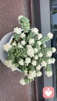 别放大情绪，别为难自己
很多事情不放在心上，就是赢!配图