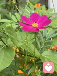 人各有各不过尔尔，好与不好都是生活
尽力就好，允许所有的事与愿违。配图