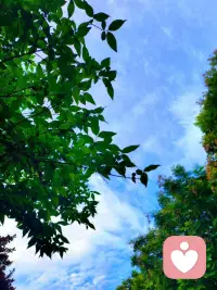生活没有标准答案，认真过好每一天就是满分答卷。配图