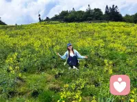 大家好～我是聆莉心语，今天正式入驻给力心理平台✨
专注婚恋情感、情绪疏导、亲子家庭关系陪伴。

愿意做你安静的倾听者，不评判、不指责，用心接住你的所有情绪，陪你梳理心事、治愈内耗、慢慢自愈。

往后在这里，用温柔和真诚，陪你和生活好好相处，和自己温柔和解🌿