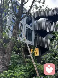 最近各种压力太大了，走一走散散心