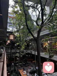 最近各种压力太大了，走一走散散心