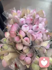 人这一生，难免身处“淤泥”般的困境：焦虑、委屈、迷茫、自我否定。就像池中的荷花，没有谁生来就立于澄澈之上。不必抗拒低谷，试着接纳当下的情绪，慢慢扎根，终会迎着光绽放。若心事无处安放，我愿意做倾听你的人。