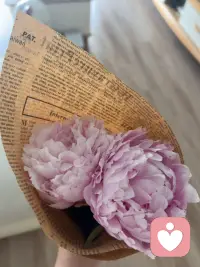 偶遇一束芍药，熬过漫长孕育，才拥雍容繁花，脚踏实地，日子自会向阳而生。🌸