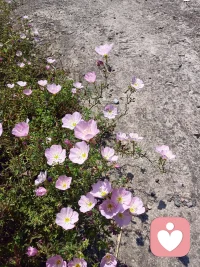 无论什么时候，都要相信自己，我没有那么差，我就是我 ，就是这样的我，找到自己的优点，去耕耘去深耕去发光发亮。配图