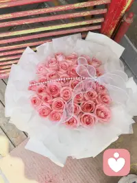 好看玫瑰花，粉色浪漫，送给每位兄弟姐妹👭配图