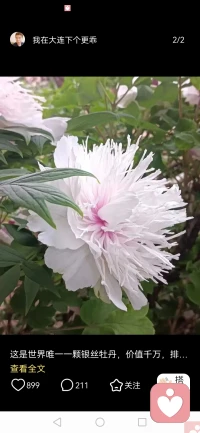 就喜欢各种各样颜色的花，太好看了吧，开心快乐每一天配图