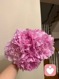 开心快乐每一天，好看的花，欣赏一下配图
