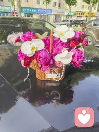 看见各种各样的花就保存下来欣赏，心情美美哒，生活需要仪式感，需要好心情，尽管用最美的姿态迎接美好的生活