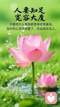 宽容简单的两个字，却承载着太多的东西。仅有二十笔画，但它的含义是无法用数字来计量的。那么就忘却它的定义，去感受它吧。宽容似火，让心尖饱受疼痛后重生。学会宽容，让这把火烧的更旺更猛烈，带来更璀璨的新生。
